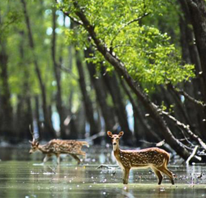 A Guide to Explore the Beautiful Bangladesh